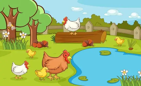 属鸡几点出生最好命女孩(如何选择最佳出生时间)