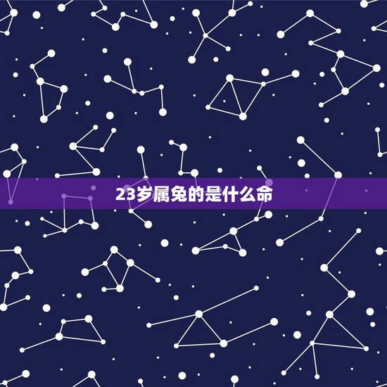 23岁属兔的是什么命,2022 年满23岁属什么生肖 23岁属兔的是什么命,2022 年满23岁属什么生肖