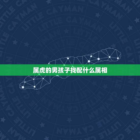 属虎的男孩子找配什么属相,属虎和什么属相最配 属虎的男孩子找配什么属相,属虎和什么属相最配