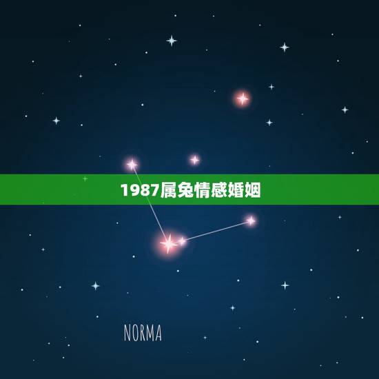 1987属兔情感婚姻,2022 属兔的重大贵人 1987属兔情感婚姻,2022 属兔的重大贵人