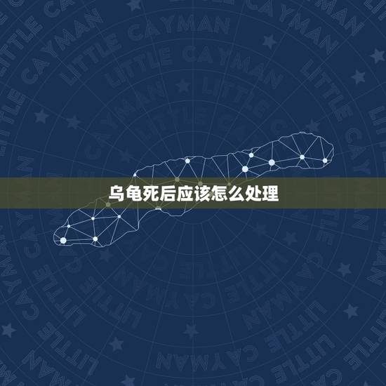 乌龟死后应该怎么处理,小乌龟死后该怎么办 乌龟死后应该怎么处理,小乌龟死后该怎么办