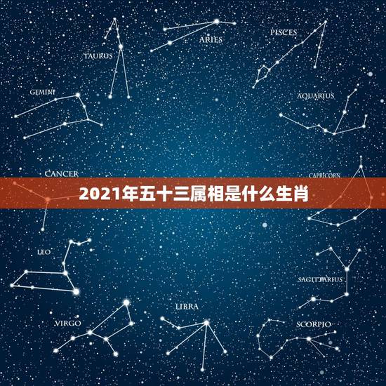 2021年五十三属相是什么生肖,2021年属什么生肖? 2021年五十三属相是什么生肖,2021年属什么生肖?