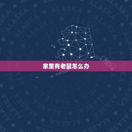 家里有老鼠怎么办,晚上睡觉发现有老鼠怎么办 家里有老鼠怎么办,晚上睡觉发现有老鼠怎么办