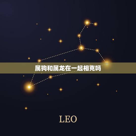 属狗和属龙在一起相克吗，婚姻差6岁相冲反而好