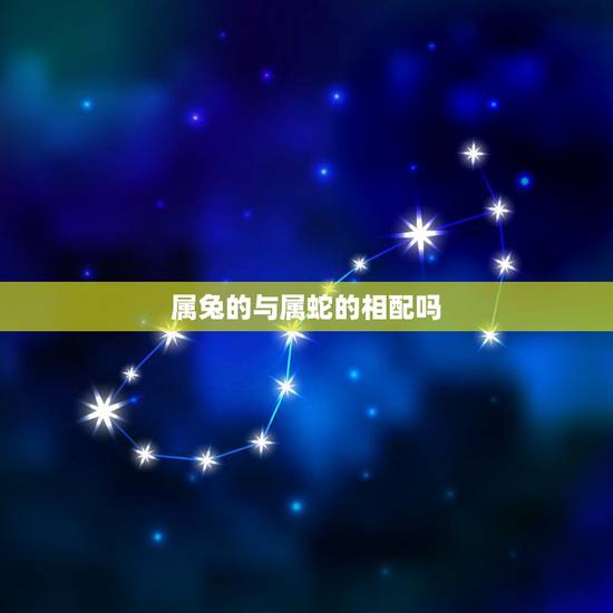 属兔的与属蛇的相配吗，属蛇3合3不合