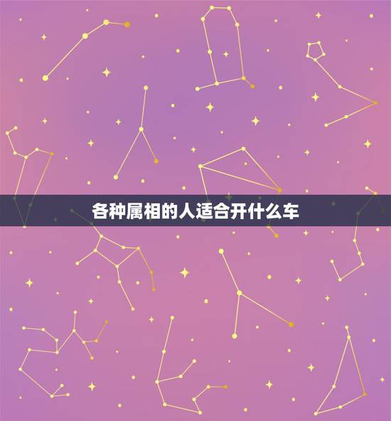 各种属相的人适合开什么车，生肖鼠的人开什么牌子的车比较好