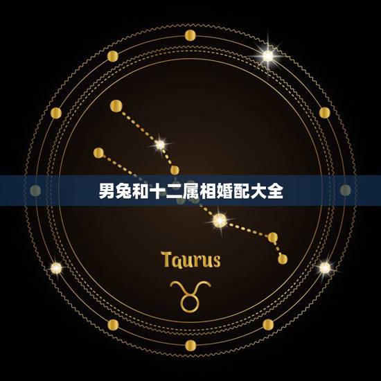 男兔和十二属相婚配大全，男兔和什么属相最配