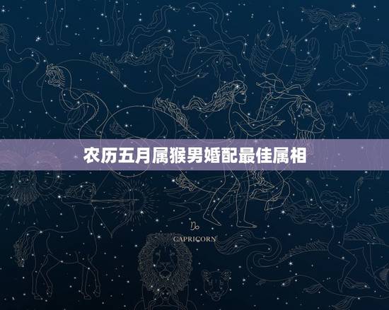 农历五月属猴男婚配最佳属相，属猴男和什么属相最相配