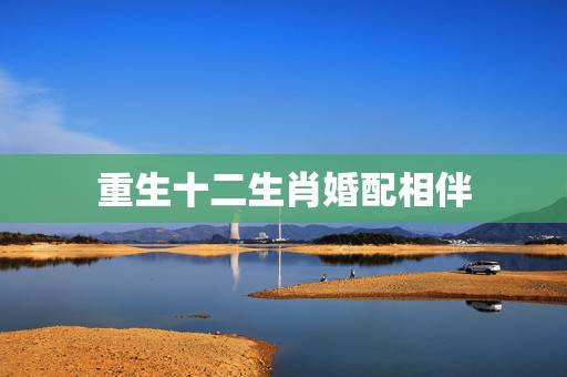 重生十二生肖婚配相伴，十二生肖姻缘配对