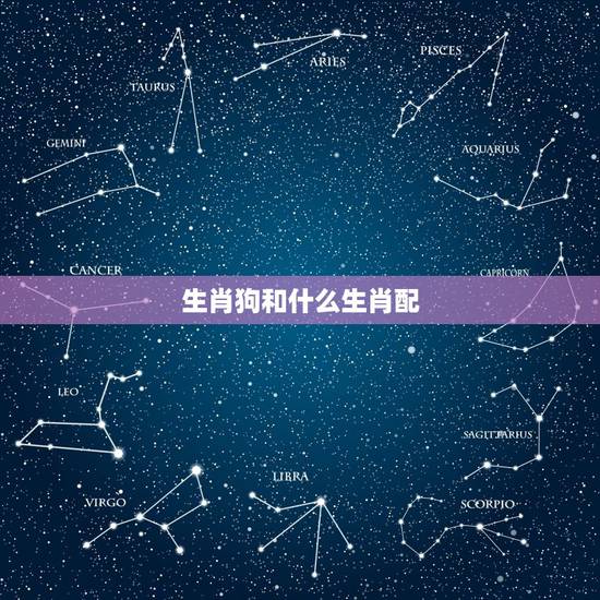 生肖狗和什么生肖配,生肖狗最适合跟谁结婚 生肖狗和什么生肖配,生肖狗最适合跟谁结婚