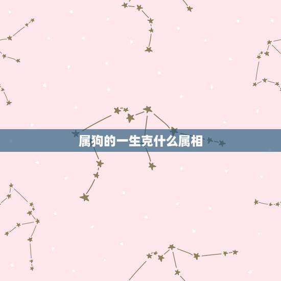 属狗的一生克什么属相，属狗与什么属相相克