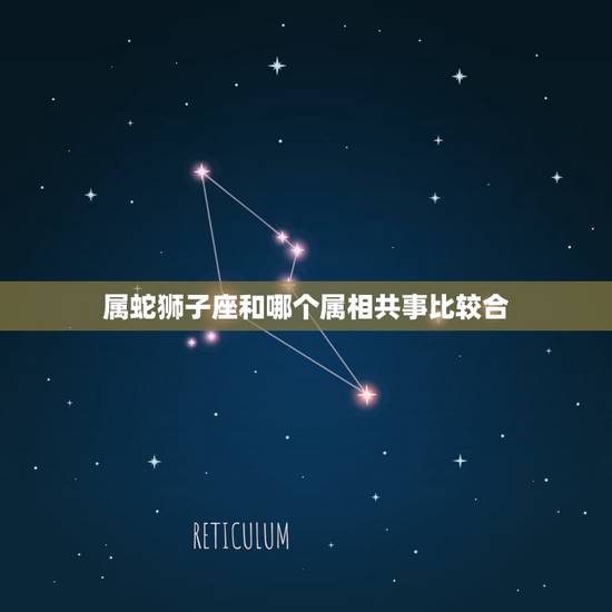 属蛇狮子座和哪个属相共事比较合,属蛇的人与什么星座最配 我是属蛇的狮子 属蛇狮子座和哪个属相共事比较合,属蛇的人与什么星座最配 我是属蛇的狮子