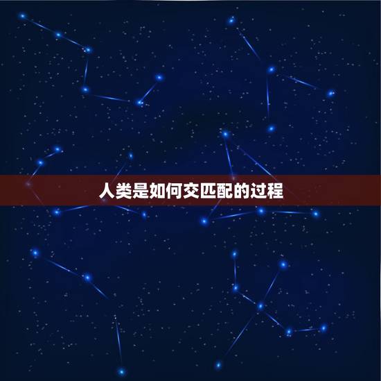 人类是如何交匹配的过程，人类的交配过程是怎么样的？