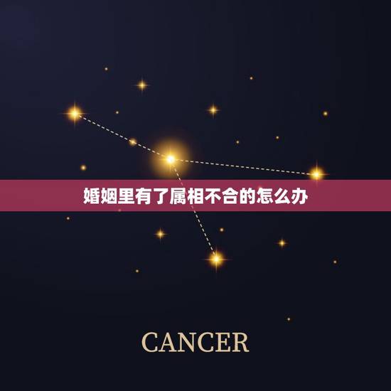婚姻里有了属相不合的怎么办,婚配时说属相不合的人,结婚后如何了? 婚姻里有了属相不合的怎么办,婚配时说属相不合的人,结婚后如何了?