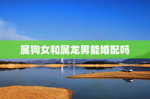 属狗女和属龙男能婚配吗,属龙的男人和属狗的女人相配吗 属狗女和属龙男能婚配吗,属龙的男人和属狗的女人相配吗