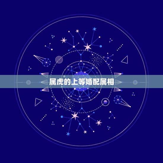 属虎的上等婚配属相,十二生肖虎的更佳配对 属虎的上等婚配属相,十二生肖虎的更佳配对