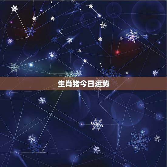 生肖猪今日运势,今天属猪的运气好不好? 生肖猪今日运势,今天属猪的运气好不好?