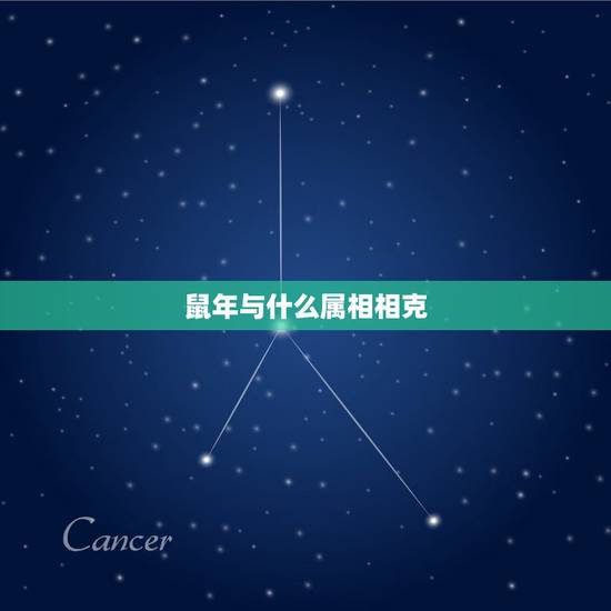 鼠年与什么属相相克，93鸡男和96鼠的姻缘