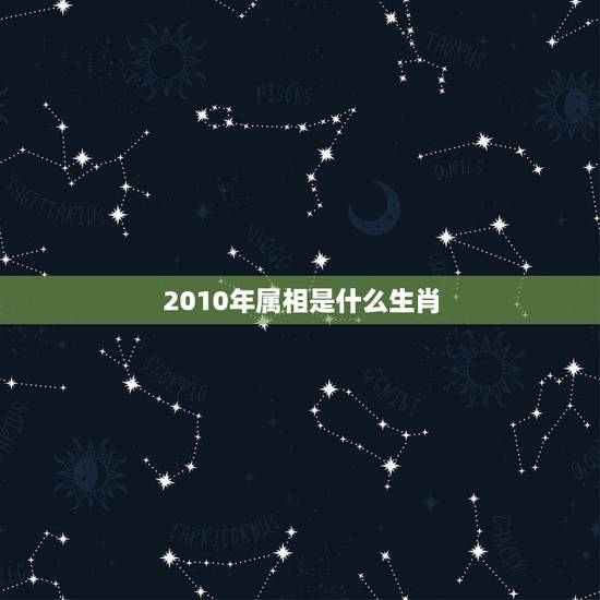 2010年属相是什么生肖,2010年属什么生肖 2010年属相是什么生肖,2010年属什么生肖