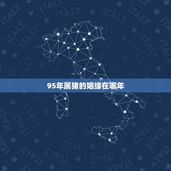 95年属猪的姻缘在哪年,95属猪姻缘何时到 95年属猪的姻缘在哪年,95属猪姻缘何时到