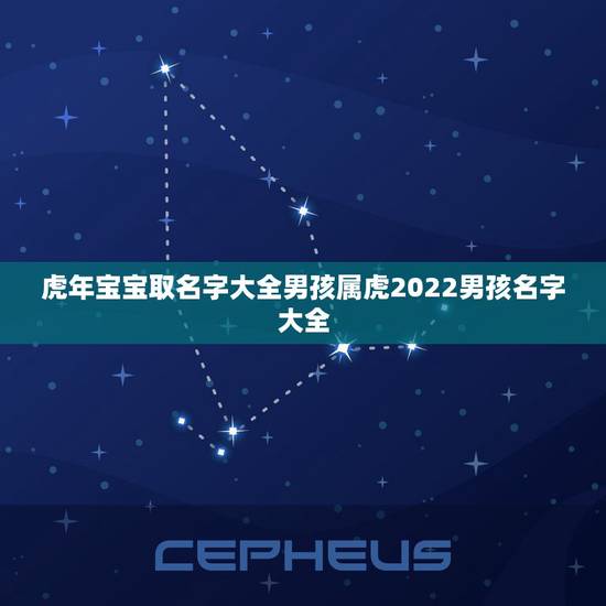 虎年宝宝取名字大全男孩属虎2022男孩名字大全 虎年宝宝取名字大全男孩属虎2022男孩名字大全