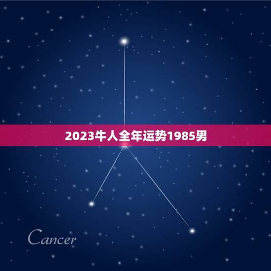 2023牛人全年运势1985男(事业财运双丰收) 2023牛人全年运势1985男(事业财运双丰收)