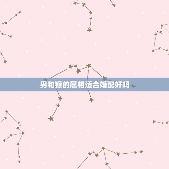男和猴的属相适合婚配好吗，属猴男最配的属相，男属猴的属相婚配表，属猴男