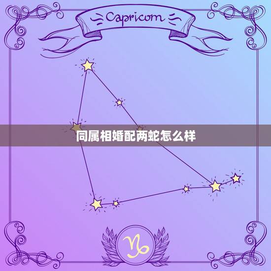同属相婚配两蛇怎么样，蛇和什么生肖最配？属蛇的属相婚配表大全