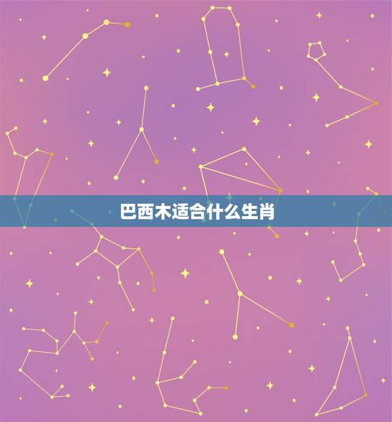 巴西木适合什么生肖，属狗的能养巴西木吗