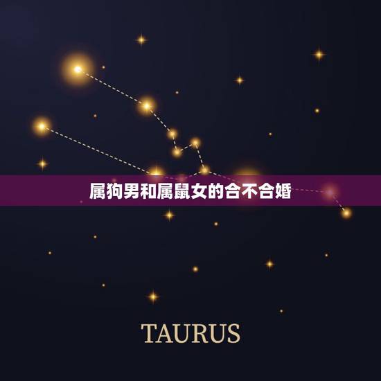 属狗男和属鼠女的合不合婚，属狗男和属鼠女结合的婚姻难道没有缘份吗