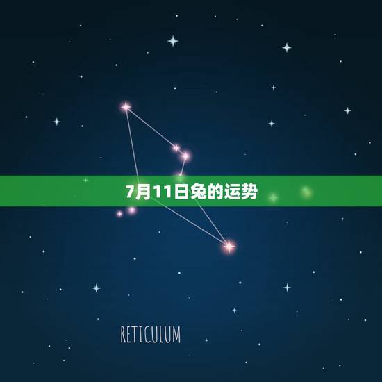 7月11日兔的运势，新年到了不知道今年属兔的人各方面的运势如何？