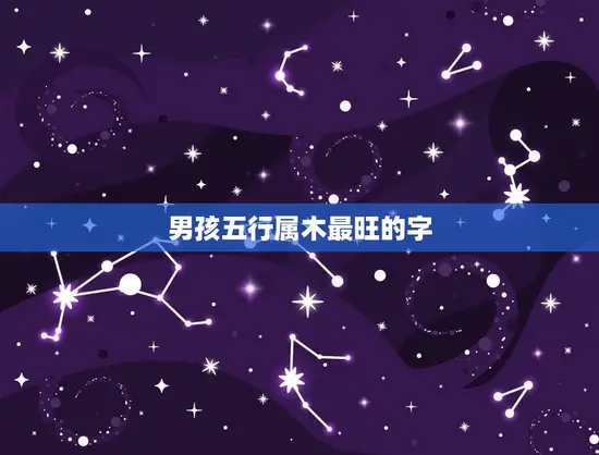 男孩五行属木最旺的字 男孩五行属木最旺的字