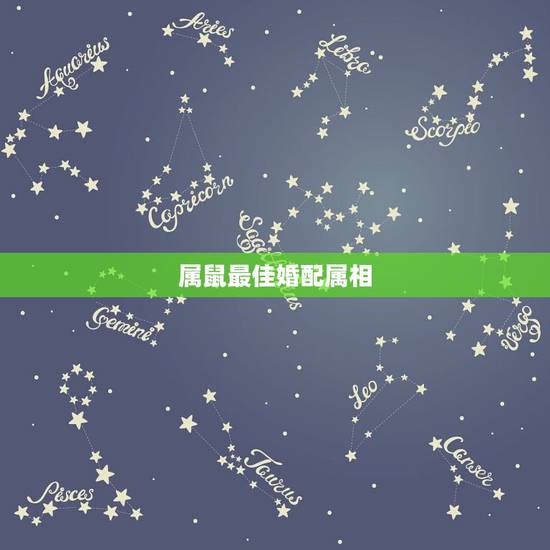 属鼠最佳婚配属相，属鼠的和什么属相最配