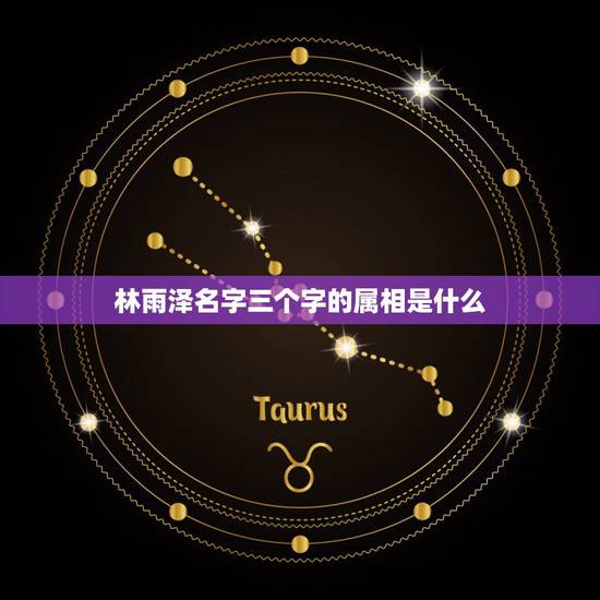 林雨泽名字三个字的属相是什么，2019年1月2日下午1点45分出生男孩