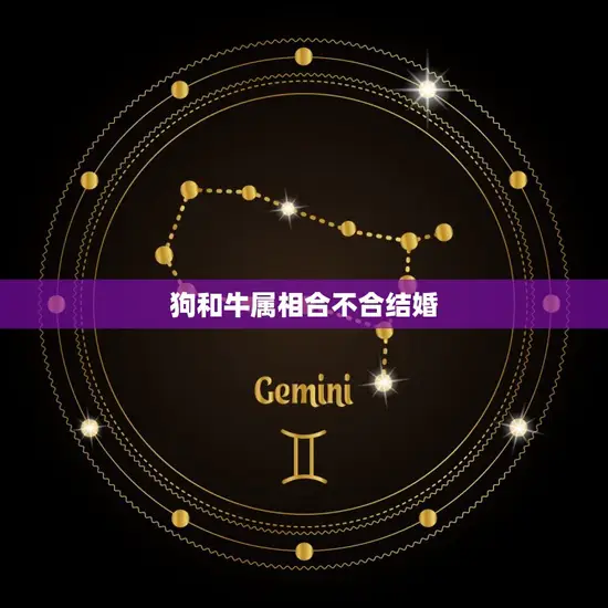 狗和牛属相合不合结婚