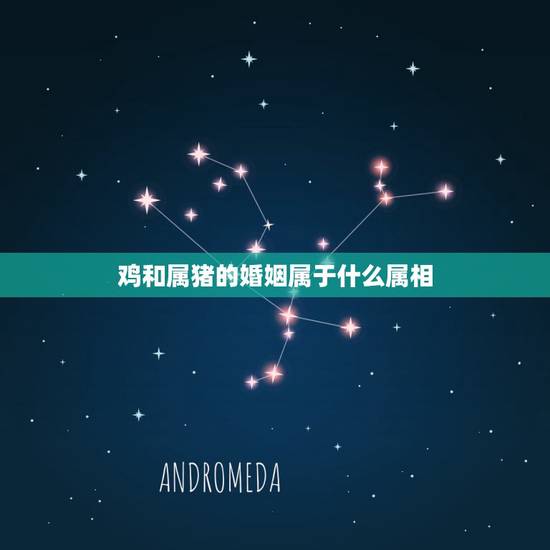 鸡和属猪的婚姻属于什么属相,属鸡和属猪的婚姻配吗 鸡和属猪的婚姻属于什么属相,属鸡和属猪的婚姻配吗