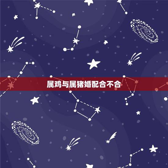 属鸡与属猪婚配合不合，属鸡和属猪相配会幸福吗