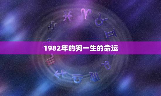 1982年的狗一生的命运，1982年属狗女一生命运