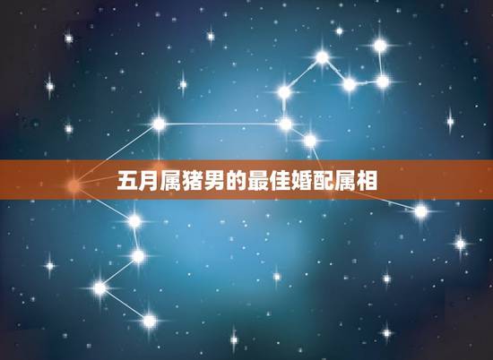 五月属猪男的最佳婚配属相,属猪男和什么属相女配婚最好 五月属猪男的最佳婚配属相,属猪男和什么属相女配婚最好