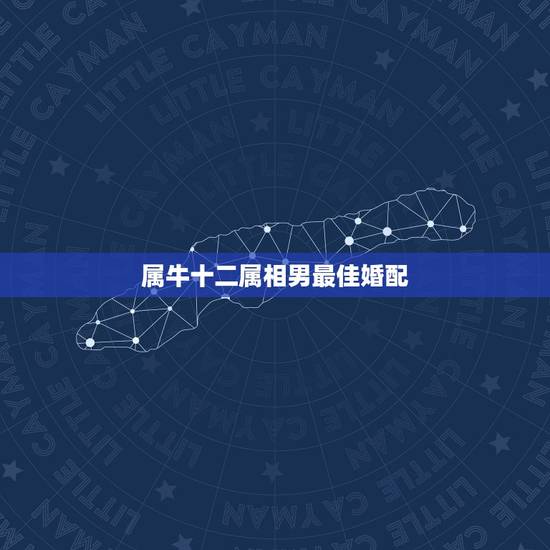 属牛十二属相男最佳婚配，男属牛85年最佳配偶属相应该属什么