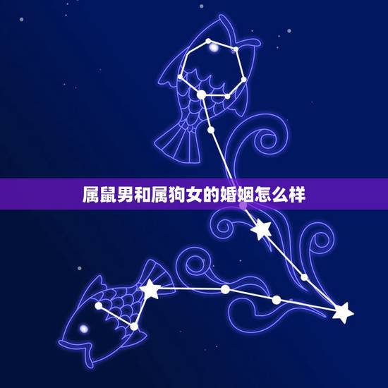 属鼠男和属狗女的婚姻怎么样，男属狗女属鼠婚姻如何