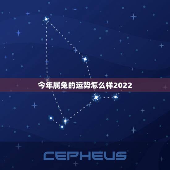 今年属兔的运势怎么样2022,属兔今年运势查询 今年属兔的运势怎么样2022,属兔今年运势查询