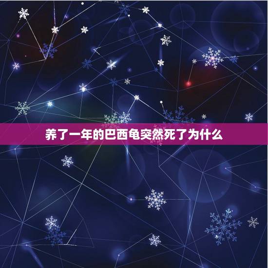 养了一年的巴西龟突然死了为什么,怎么判断乌龟是否真正死亡? 养了一年的巴西龟突然死了为什么,怎么判断乌龟是否真正死亡?