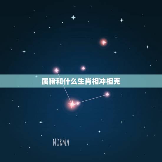 属猪和什么生肖相冲相克,属猪女和什么属相相克 属猪和什么生肖相冲相克,属猪女和什么属相相克