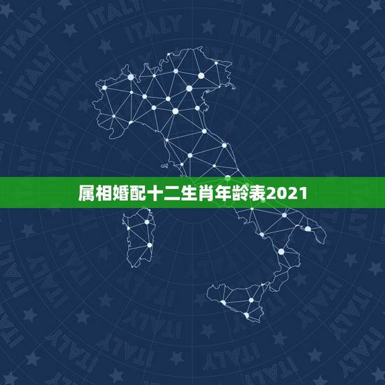 属相婚配十二生肖年龄表2021，十二生肖匹配表