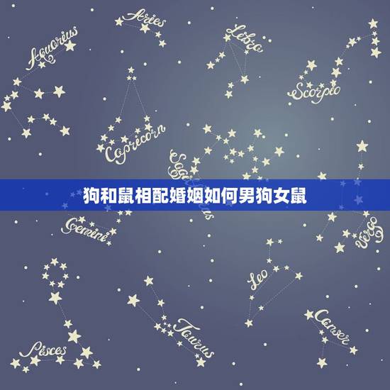 狗和鼠相配婚姻如何男狗女鼠，狗和鼠相配婚姻如何