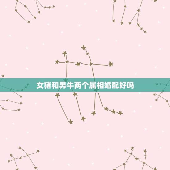 女猪和男牛两个属相婚配好吗,生肖猪和牛相配? 女猪和男牛两个属相婚配好吗,生肖猪和牛相配?