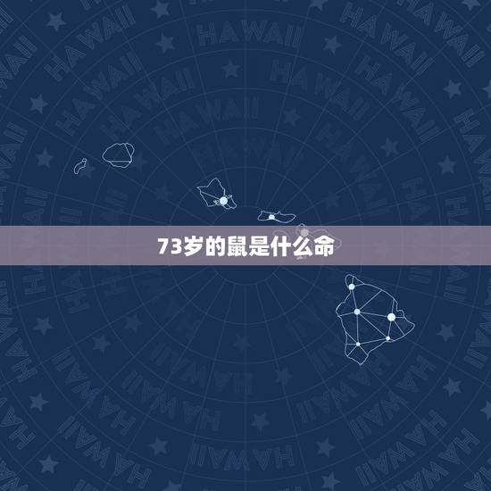 73岁的鼠是什么命，84年的鼠是什么命的人