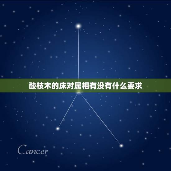 酸枝木的床对属相有没有什么要求,做木床用酸枝木还是紫檀木对身体有益呢? 酸枝木的床对属相有没有什么要求,做木床用酸枝木还是紫檀木对身体有益呢?