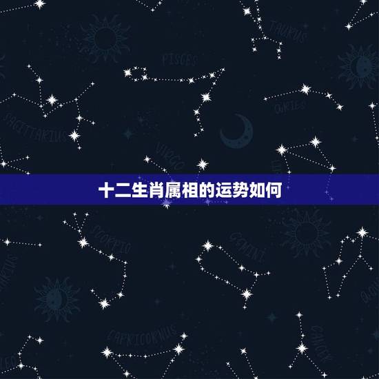 十二生肖属相的运势如何,十二生肖的顺序? 十二生肖属相的运势如何,十二生肖的顺序?